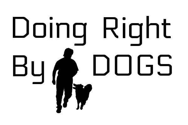 Doing Right By Dogs